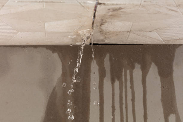 Professional Burst Pipe Cleanup technician working in Woodbine, MD
